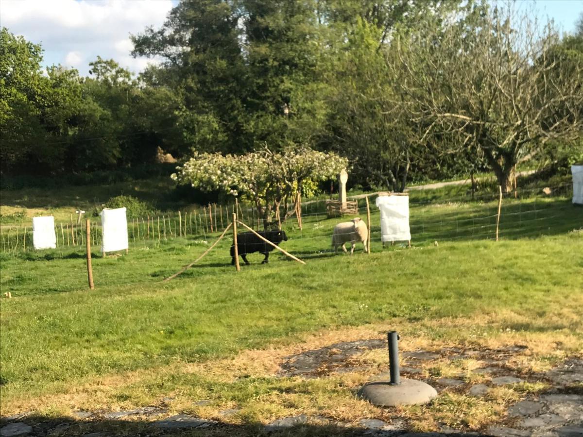Gite De Kerfenefas Plouézocʼh Esterno foto